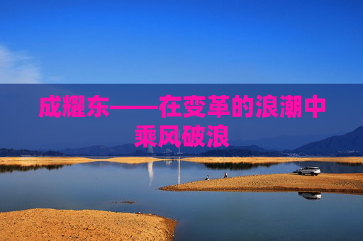 成耀东——在变革的浪潮中乘风破浪