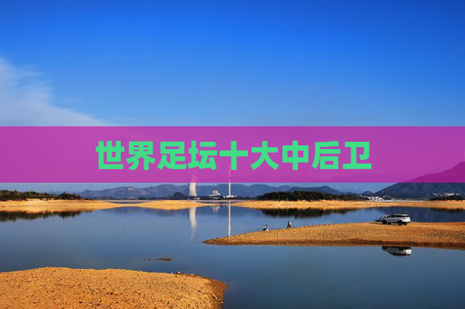 世界足坛十大中后卫