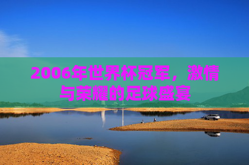 2006年世界杯冠军，激情与荣耀的足球盛宴
