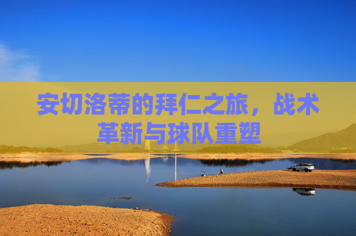 安切洛蒂的拜仁之旅，战术革新与球队重塑