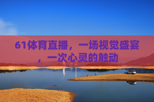 61体育直播，一场视觉盛宴，一次心灵的触动