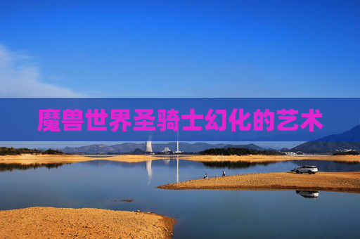 魔兽世界圣骑士幻化的艺术