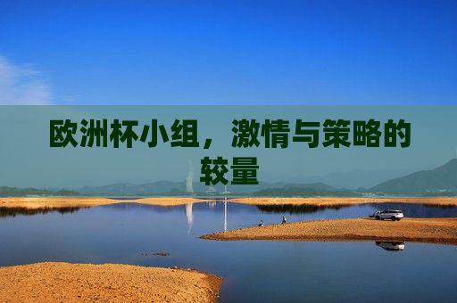 欧洲杯小组，激情与策略的较量