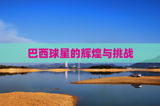 巴西球星的辉煌与挑战