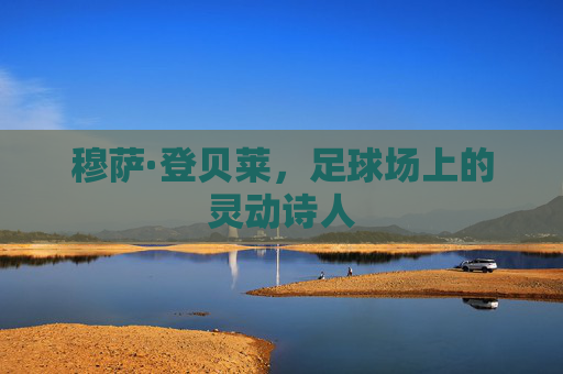 穆萨·登贝莱，足球场上的灵动诗人