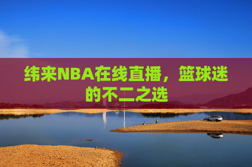 纬来NBA在线直播，篮球迷的不二之选