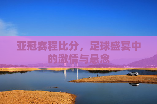 亚冠赛程比分，足球盛宴中的激情与悬念