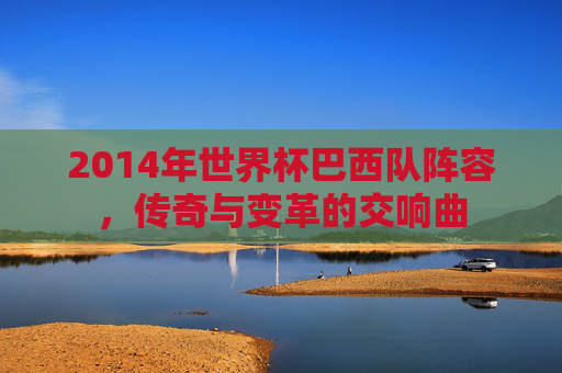 2014年世界杯巴西队阵容，传奇与变革的交响曲