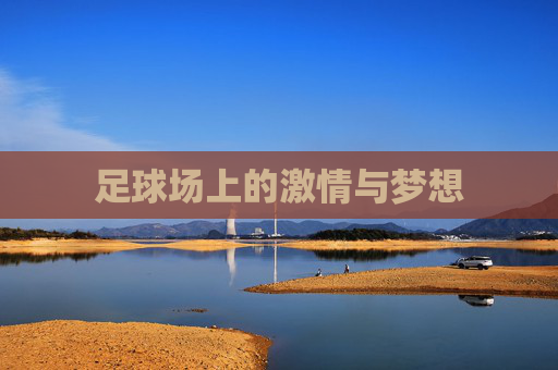 足球场上的激情与梦想