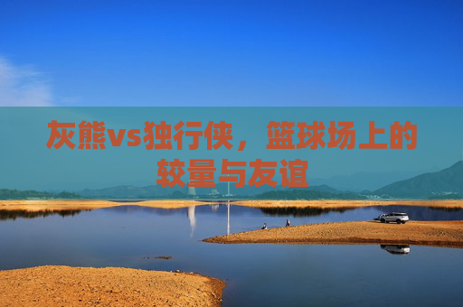 灰熊vs独行侠，篮球场上的较量与友谊
