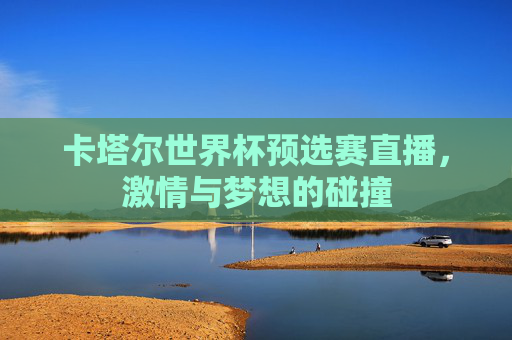 卡塔尔世界杯预选赛直播，激情与梦想的碰撞