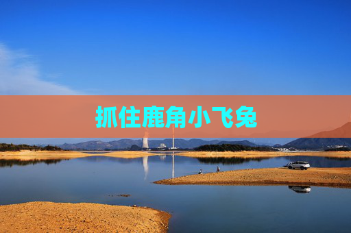 抓住鹿角小飞兔