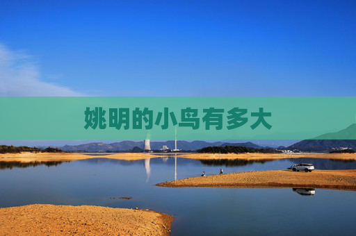 姚明的小鸟有多大