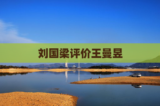 刘国梁评价王曼昱