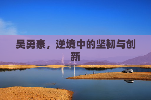 吴勇豪，逆境中的坚韧与创新
