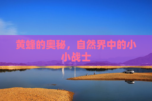 黄蜂的奥秘，自然界中的小小战士