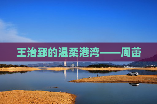 王治郅的温柔港湾——周蕾 王治郅的温柔港湾——周蕾