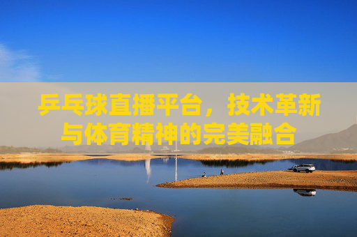乒乓球直播平台，技术革新与体育精神的完美融合