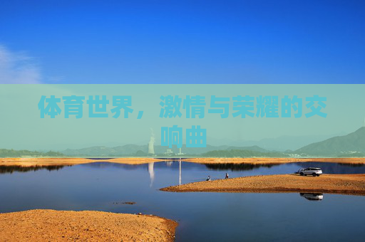 体育世界，激情与荣耀的交响曲