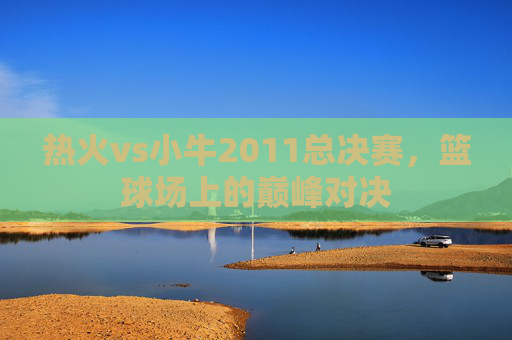 热火vs小牛2011总决赛，篮球场上的巅峰对决