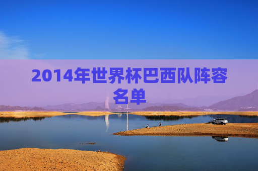 2014年世界杯巴西队阵容名单 2014年世界杯巴西队阵容名单