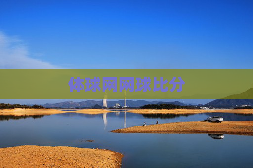 体球网网球比分