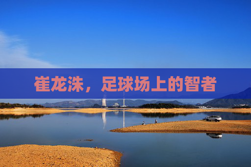 崔龙洙，足球场上的智者