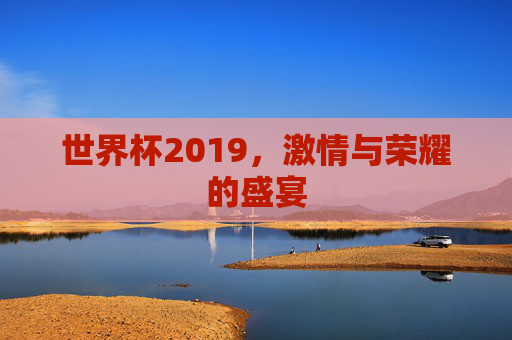 世界杯2019，激情与荣耀的盛宴