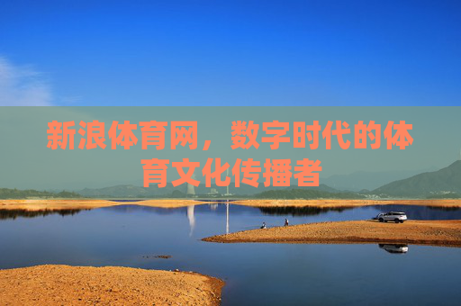 新浪体育网，数字时代的体育文化传播者