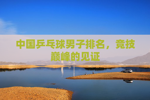 中国乒乓球男子排名，竞技巅峰的见证