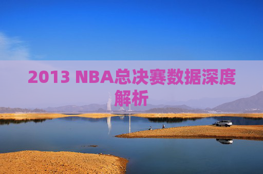 2013 NBA总决赛数据深度解析