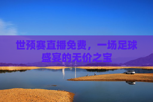 世预赛直播免费，一场足球盛宴的无价之宝