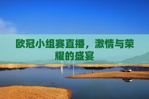 欧冠小组赛直播,激情与荣耀的盛宴 欧冠小组赛直播,激情与荣耀的盛宴
