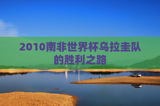2010南非世界杯乌拉圭队的胜利之路 2010南非世界杯乌拉圭队的胜利之路