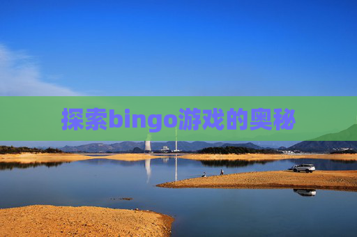 探索bingo游戏的奥秘