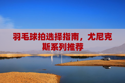 羽毛球拍选择指南，尤尼克斯系列推荐