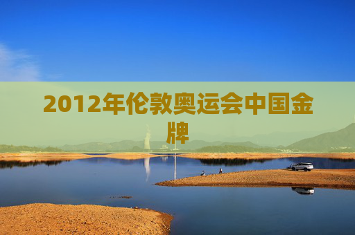 2012年伦敦奥运会中国金牌