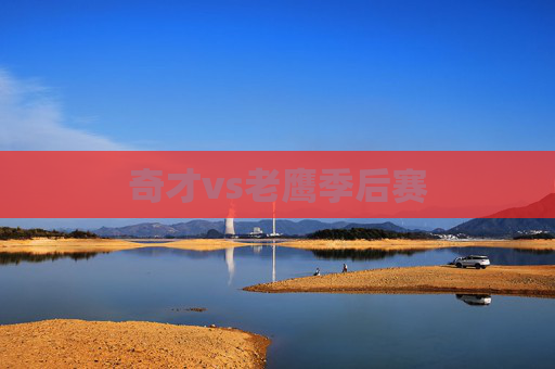奇才vs老鹰季后赛