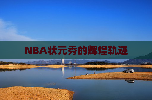 NBA状元秀的辉煌轨迹