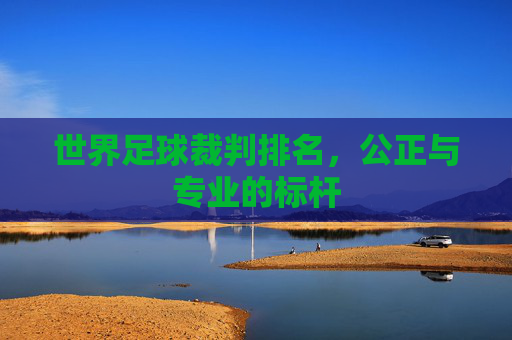 世界足球裁判排名，公正与专业的标杆