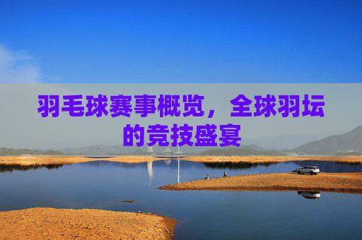 羽毛球赛事概览，全球羽坛的竞技盛宴
