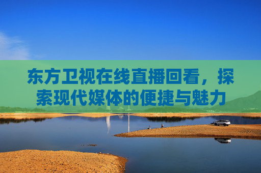 东方卫视在线直播回看，探索现代媒体的便捷与魅力