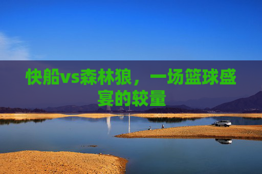 快船vs森林狼，一场篮球盛宴的较量