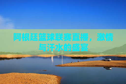 阿根廷篮球联赛直播，激情与汗水的盛宴