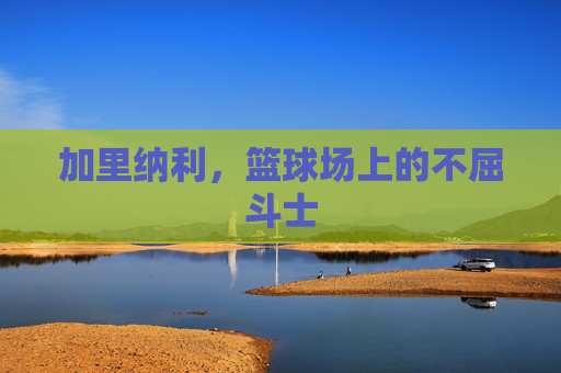 加里纳利，篮球场上的不屈斗士