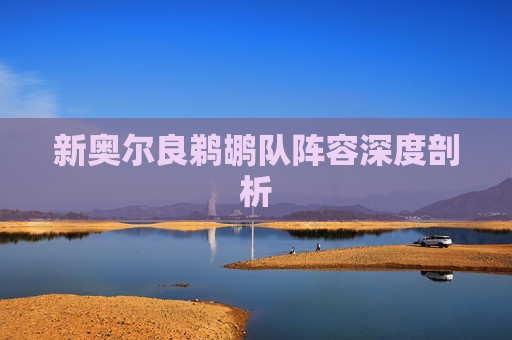 新奥尔良鹈鹕队阵容深度剖析