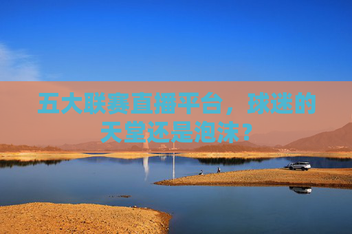 五大联赛直播平台，球迷的天堂还是泡沫？