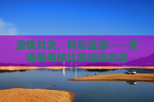 激情对决，精彩直播——先锋羽毛球比赛现场直击