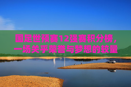 国足世预赛12强赛积分榜，一场关乎荣誉与梦想的较量