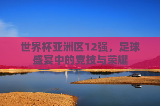 世界杯亚洲区12强，足球盛宴中的竞技与荣耀